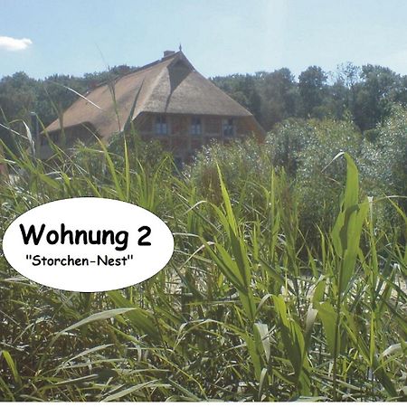 Alte Schule Ludwigsburg Loissin Quarto foto